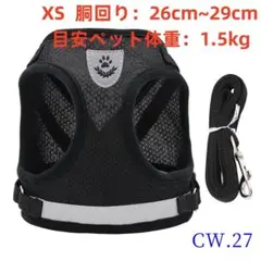 Item thumbnail for item e4e2906a-e13b-47a5-8307-b27060c5ad34