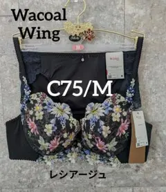 Item thumbnail for item 766f162d-62e6-4b11-8790-51cb83a71cf2