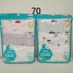 Item thumbnail for item ff784d45-f692-4751-b9c0-cd7fdb4f2f37