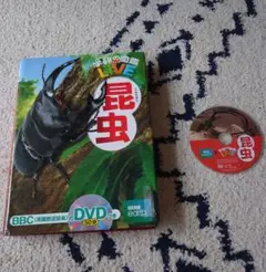 美品　学研の図鑑　LIVE 昆虫　DVD付き