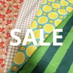 SALE メッシュ生地　スイカ　スマイル