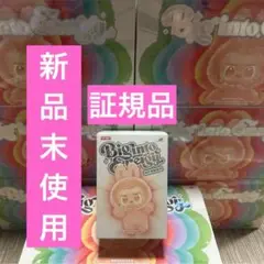 【正規品・未開封】Labubu Big into Energy 1箱