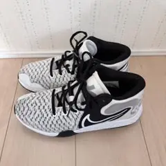 Item thumbnail for item 127bd2ae-da0a-45e8-9543-cf2a4dd84653