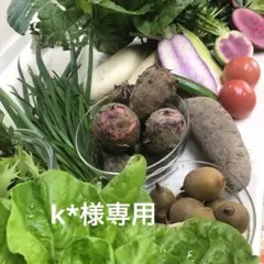 専用 カラフル野菜80サイズ