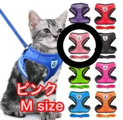 Item thumbnail for item 0672ee13-44fd-4264-9615-75424f7a0845
