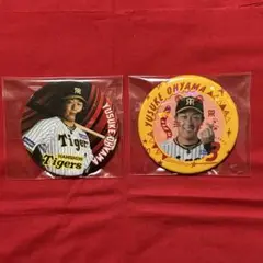 阪神タイガース 缶バッジセット　大山選手