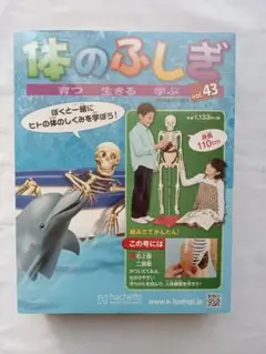 アーサーが教える 体のふしぎ1〜40巻【1/2】　※商品説明を必ずお読み下さい‼︎ 2025年最新】アーサー 体のふしぎの人気アイテム - メルカリ