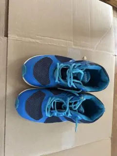 Item thumbnail for item 71236e9d-5f00-4930-8ccc-a31ecfd9fb1b