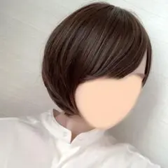 高品質ウィッグ ショート ナチュラルブラウン ウィッグ