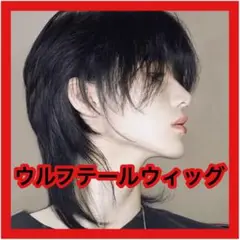 ウルフカット ウィッグ ショート ウルフテール　男装 黒 かつら 髪