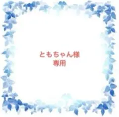 ともちゃん様　専用