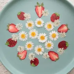 押し花　苺セット