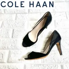 Item thumbnail for item 39f91f95-a5b1-4548-a957-e3713c093a57