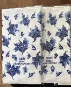 Item thumbnail for item 512a5b48-b7ab-45d9-b46b-627ee02decf2