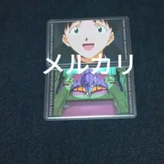 碇シンジ 初号機 ラミカ ラミネートカード エヴァンゲリオン