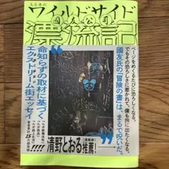 ワイルドサイド漂流記 歌舞伎町・西成・インド・その他の街