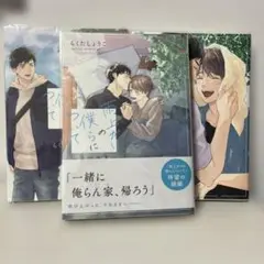 雨上がりの僕らについて 1～3巻 BLコミック ボーイズラブ らくたしょうこ