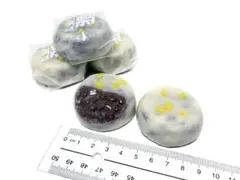 【食品サンプル】栗きんつば　５個セット