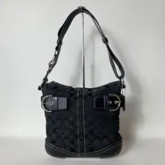 Item thumbnail for item 578ae199-0653-492f-92bc-ab50b6cca664