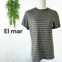 2576【El mar】Tシャツ 半袖カットソー ボーダー グリーン ワンサイズ