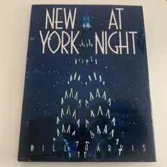 NEW YORK AT NIGHT