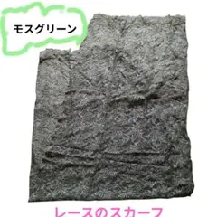 Item thumbnail for item 00f7f992-42ad-416b-93b5-405e03e0af30