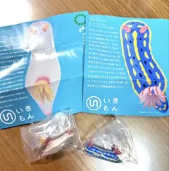 ウミウシ　フィギュア　マグネット　アオウミウシ　ゾウゲイロウミウシ　ガチャガチャ