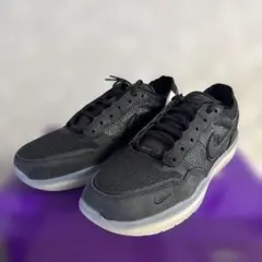 Nike SB PS8