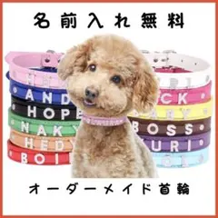 Item thumbnail for item 4efddf9b-c161-4599-bc0d-289424afaaf8