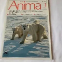 アニマ　１９９２年３月号