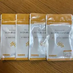 フィネス豊潤サジー サジーによく合うらんさん菌とにゅうさん菌