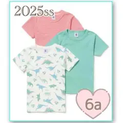 新品未使用 プチバトー 半袖Tシャツ 3枚組 6ans 恐竜