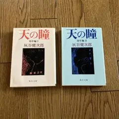 天の瞳 幼年編1 2