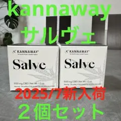 【新品未開封】キャナウェイサルベ2個セット 2025年最新】キャナウェイ サルベの人気アイテム - メルカリ