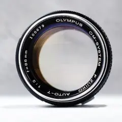 m58080921560_1.jpg?1729412530
