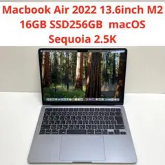 Macbook Air 2022 13.6inch M2 16GB SSD256