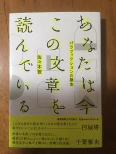 あなたは今、この文章を読んでいる。 パラフィクションの誕生 佐々木敦