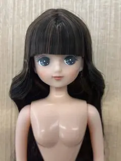 カスタムきらちゃん　ブラウンボブ　可動ボディアウトフィットセット　キャッスル 2025年最新】カスタムきらちゃんの人気アイテム - メルカリ