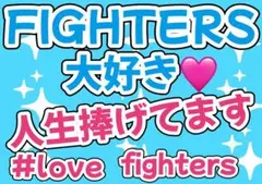 日本ハムファイターズ　応援ボード