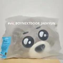 BBNEXDO テップン　テサン クッション プネクド　ボネクド BOYNEXTDOOR プネクド クッション 4個セット｜Yahoo!フリマ（旧