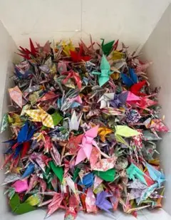 Item thumbnail for item c4390767-c6bf-4646-ac47-51e2c4b5df12