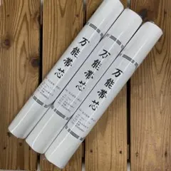 Item thumbnail for item ab969009-b7d8-4348-a2a2-d0fddd17124a
