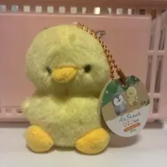 ぺんぎんちゃんとひよこちゃんマスコットBC ひよこちゃん　ぬいぐるみ