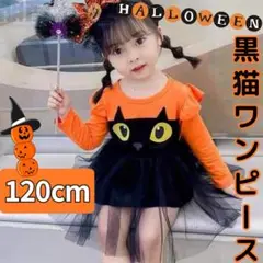 Item thumbnail for item 8651cad5-0c23-4ab0-bccc-c598dd4bdf01