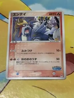 ポケパーク2005年限定　ポケモンカードプレミアムファイル ポケパーク2005年限定ポケモンカードプレミアムファイル