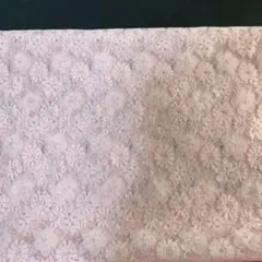 レース地