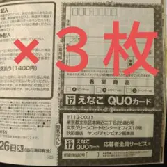えなこ　限定クオカード３種応募者全員用紙３枚　ヤングチャンピオン