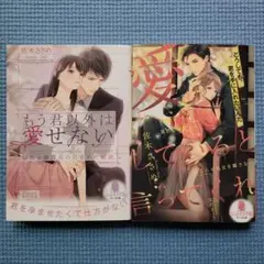 もう君以外は愛せない 佐木ささめ2冊セット
