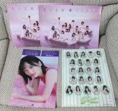 乃木坂46 AKB48 チームK セブンイレブン クリアファイル プレイボーイ