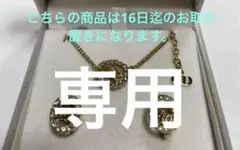 Diorクリスチャンディオールラインストーンロゴネックレスイヤリングセット